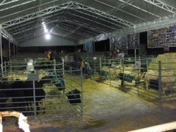 phoca_thumb_l_fotosnoviembre2012 2525